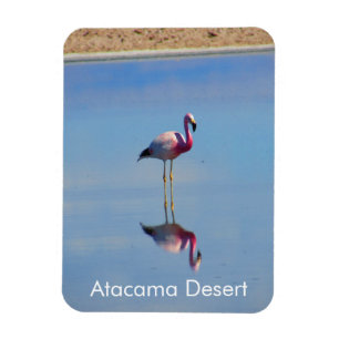 Flamingo Atacama woestijn Flexible Magnet Magneet