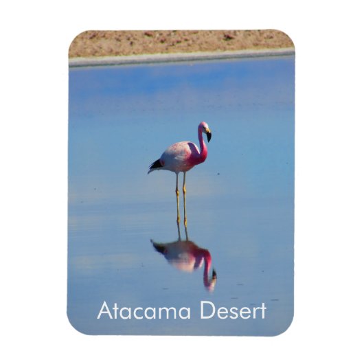 Flamingo Atacama woestijn Flexible Magnet Magneet (Verticaal)