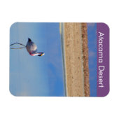 Flamingo Atacama woestijn Flexible Magnet Magneet (Horizontaal)