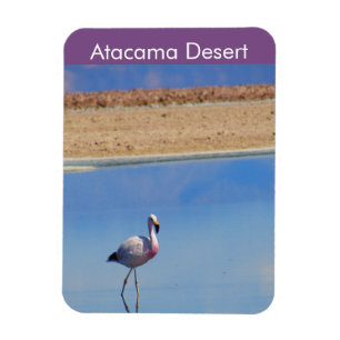 Flamingo Atacama woestijn Flexible Magnet Magneet