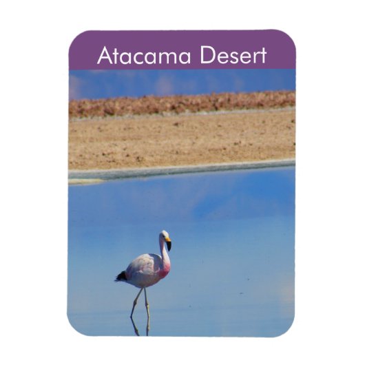 Flamingo Atacama woestijn Flexible Magnet Magneet (Verticaal)