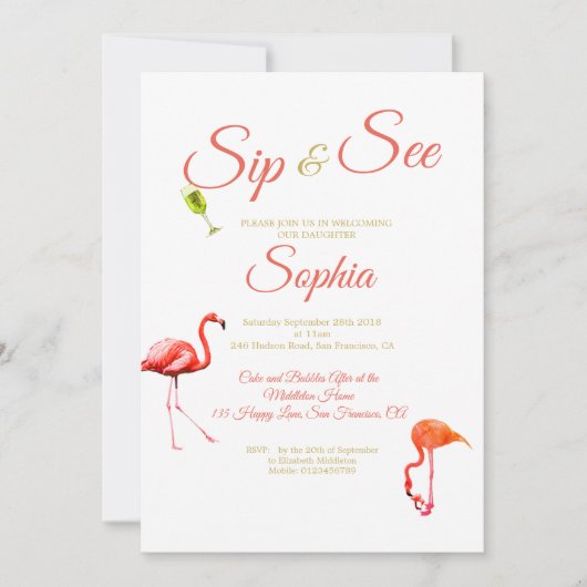 Flamingo Baby Black Stripe Sip en zie Kaart (Voorkant)