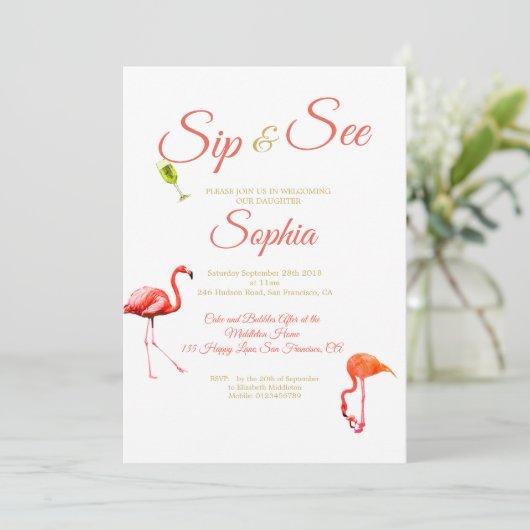 Flamingo Baby Black Stripe Sip en zie Kaart (Staand voorkant)