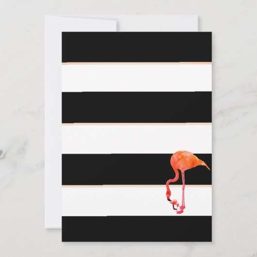 Flamingo Baby Black Stripe Sip en zie Kaart (Achterkant)