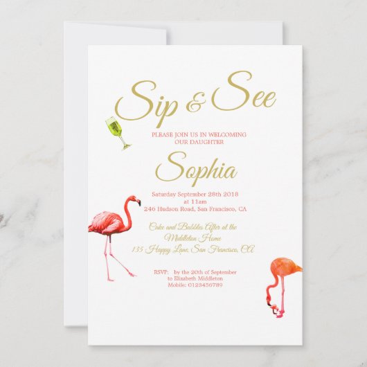 Flamingo Baby Blue Stripe Sip en zie Kaart (Voorkant)