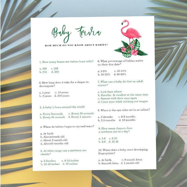 Flamingo - Baby Trivia | Baby showers wild (Creator heeft geüpload)
