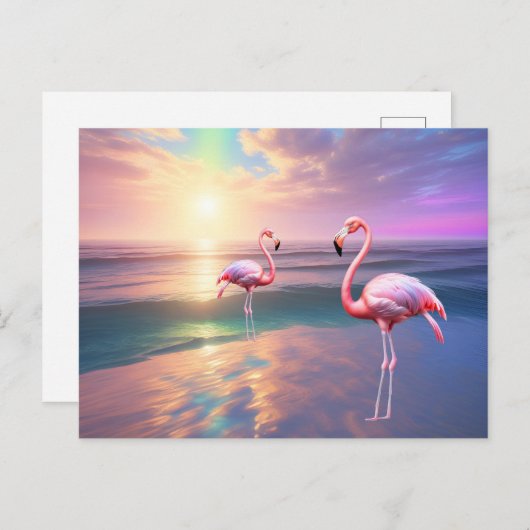Flamingo Beach Briefkaart (Voorkant / Achterkant)