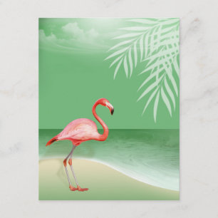 Flamingo Beach Ontvangst Details   jade Kaart