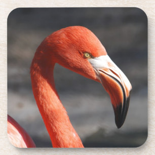 Flamingo Bier Onderzetter