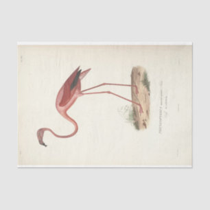 Flamingo Bird Ephemera Decoupage Tissuepapier