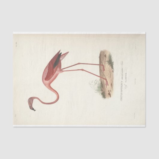 Flamingo Bird Ephemera Decoupage Tissuepapier (Voorkant)