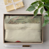 Flamingo Bird Ephemera Decoupage Tissuepapier (Geschenk)