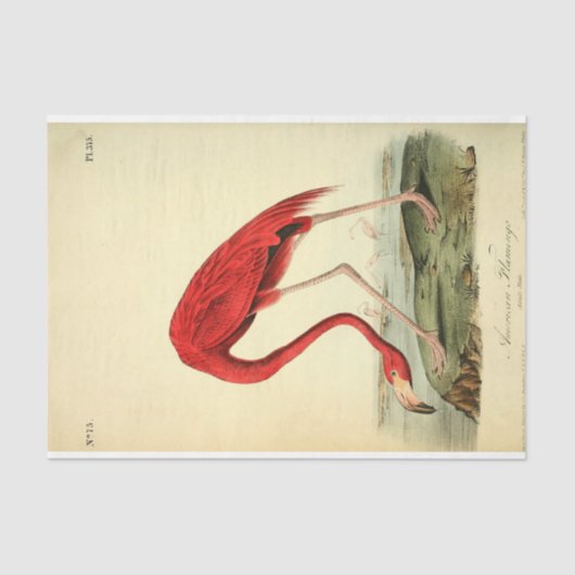 Flamingo Bird Ephemera Decoupage Tissuepapier (Voorkant)