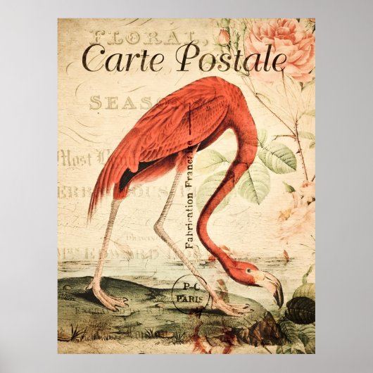  Flamingo Bird Franse Floral Poster (Voorkant)