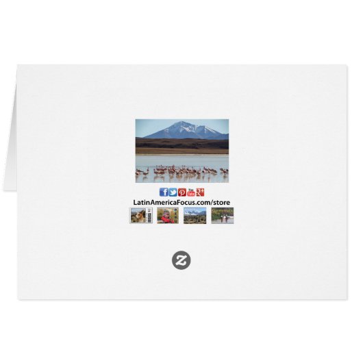 Flamingo Birds on Water - Sneeuwbergen Kaart (Achterkant Horizontaal)