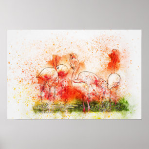 Flamingo Birds Poster