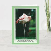 Flamingo Birthday Card