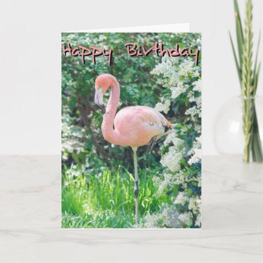 Flamingo Birthday-kaart Kaart (Voorkant)