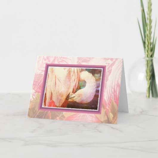 Flamingo Blank Kaart (Voorkant)