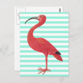 Flamingo & Blauwgroen strepen - het Fijne Briefkaart (Voorkant / Achterkant)