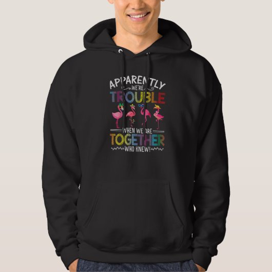 Flamingo Blijkbaar Zijn We Problemen Als We Samen  Hoodie (Voorkant)