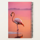 Flamingo brengt tijd door met God Journal Notitieboek (Achterkant)