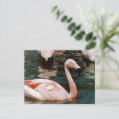 Flamingo Briefkaart (Staand voorkant)