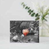 Flamingo Briefkaart (Staand voorkant)