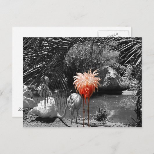 Flamingo Briefkaart (Voorkant / Achterkant)