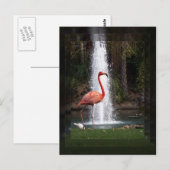 Flamingo Briefkaart (Voorkant / Achterkant)