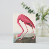 Flamingo Briefkaart (Staand voorkant)