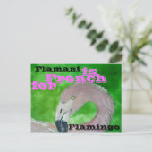 Flamingo Briefkaart (Staand voorkant)
