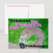 Flamingo Briefkaart (Voorkant / Achterkant)