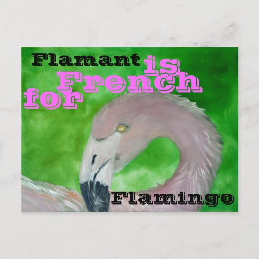 Flamingo Briefkaart (Voorkant)