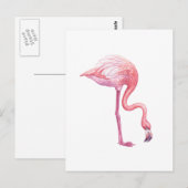 Flamingo Briefkaart (Voorkant / Achterkant)