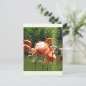 Flamingo Briefkaart (Staand voorkant)