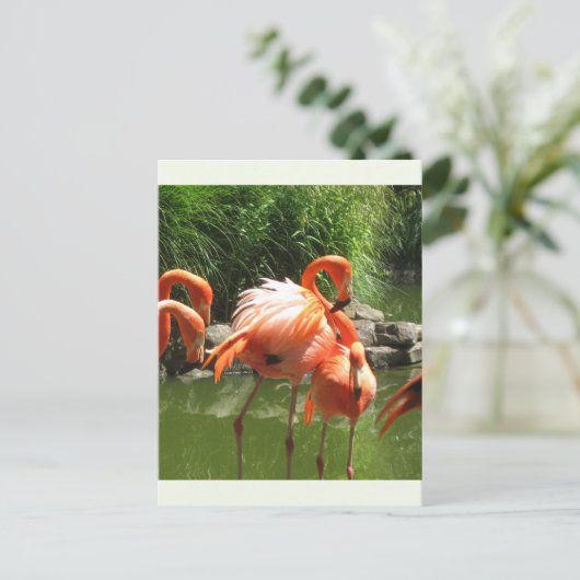 Flamingo Briefkaart (Staand voorkant)