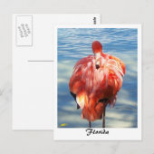 Flamingo Briefkaart (Voorkant / Achterkant)