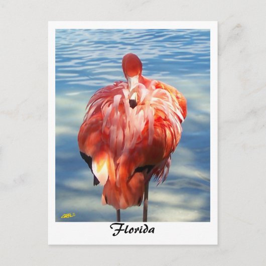 Flamingo Briefkaart (Voorkant)