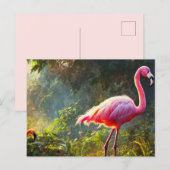 Flamingo briefkaart (Voorkant / Achterkant)