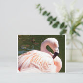 Flamingo Briefkaart (Staand voorkant)