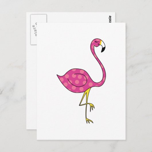 flamingo briefkaart (Voorkant / Achterkant)