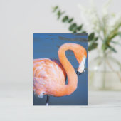 Flamingo Briefkaart (Staand voorkant)