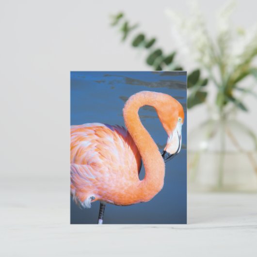 Flamingo Briefkaart (Staand voorkant)