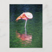 Flamingo Briefkaart (Voorkant)