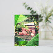 Flamingo Briefkaart (Staand voorkant)