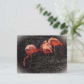 Flamingo Briefkaart (Staand voorkant)
