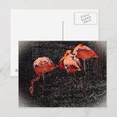 Flamingo Briefkaart (Voorkant / Achterkant)
