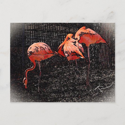 Flamingo Briefkaart (Voorkant)