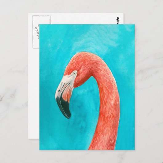 Flamingo Briefkaart (Voorkant / Achterkant)
